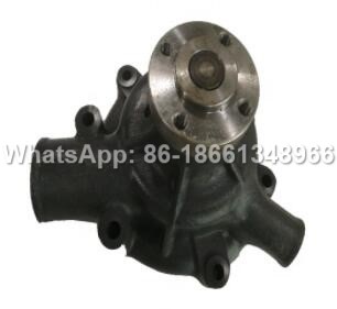 Water Pump Pulley Assy 13070956