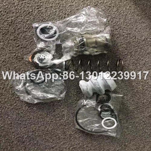 Changlin Motor Grader spare parts P-203-01-020 repair kit.jpg