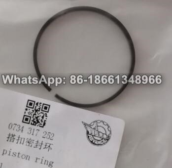 ZF 4WG200 Seal of piston ring 0734317252