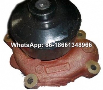 SDEC D20-000-32+B Water Pump