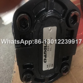 Changlin Parts Gear Pump W-01-00141